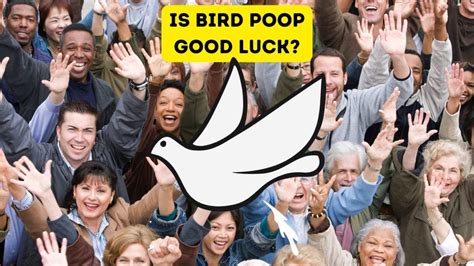 lottery number for bird poop|Bird Poop, Luck, And A Lottery Ticket, Or As we Like .